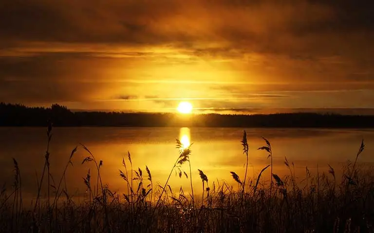 Where the Light Slows Down