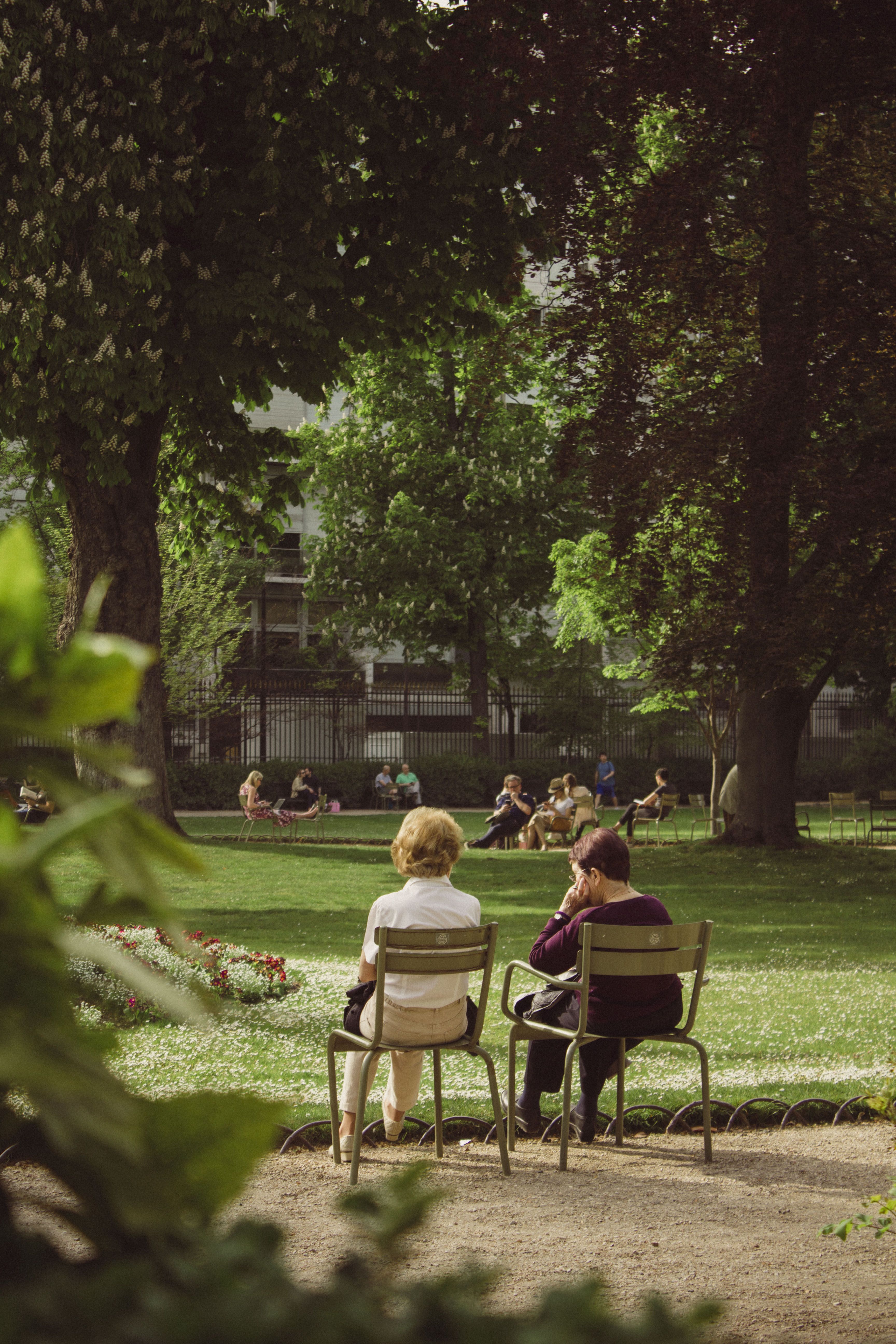 The Art of a Quiet Afternoon