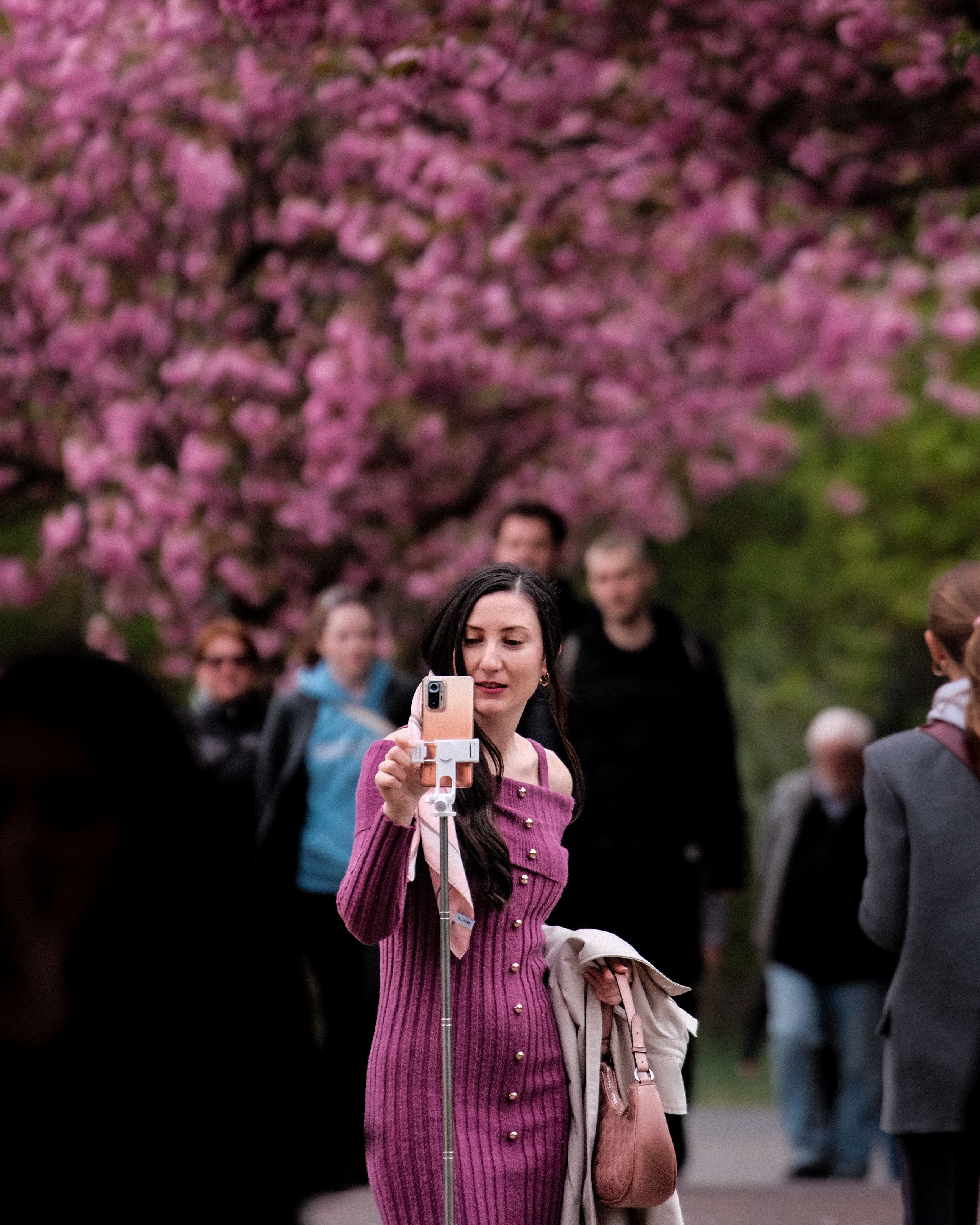 Under the Blossom Canopy