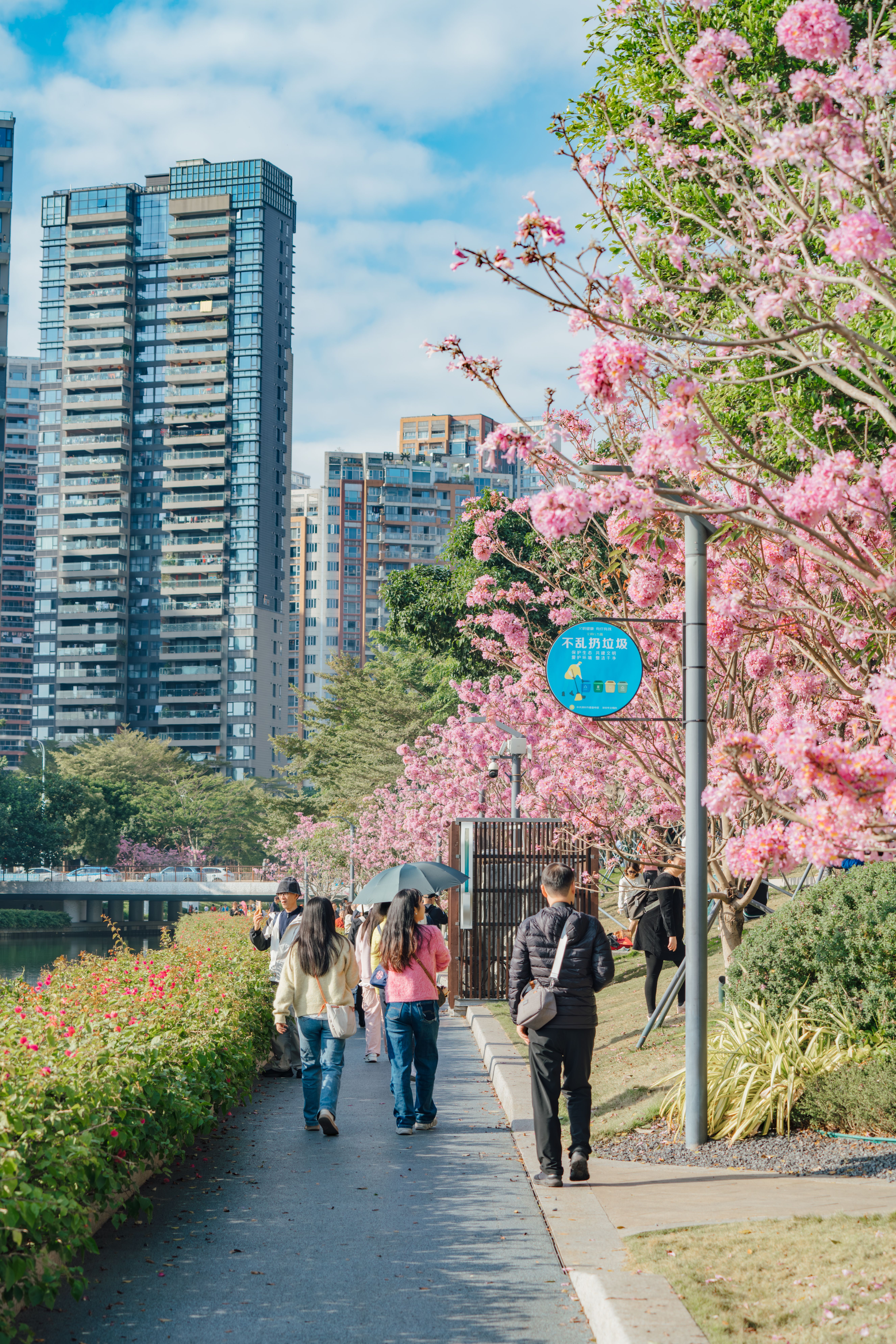 Blossoms Between the Towers