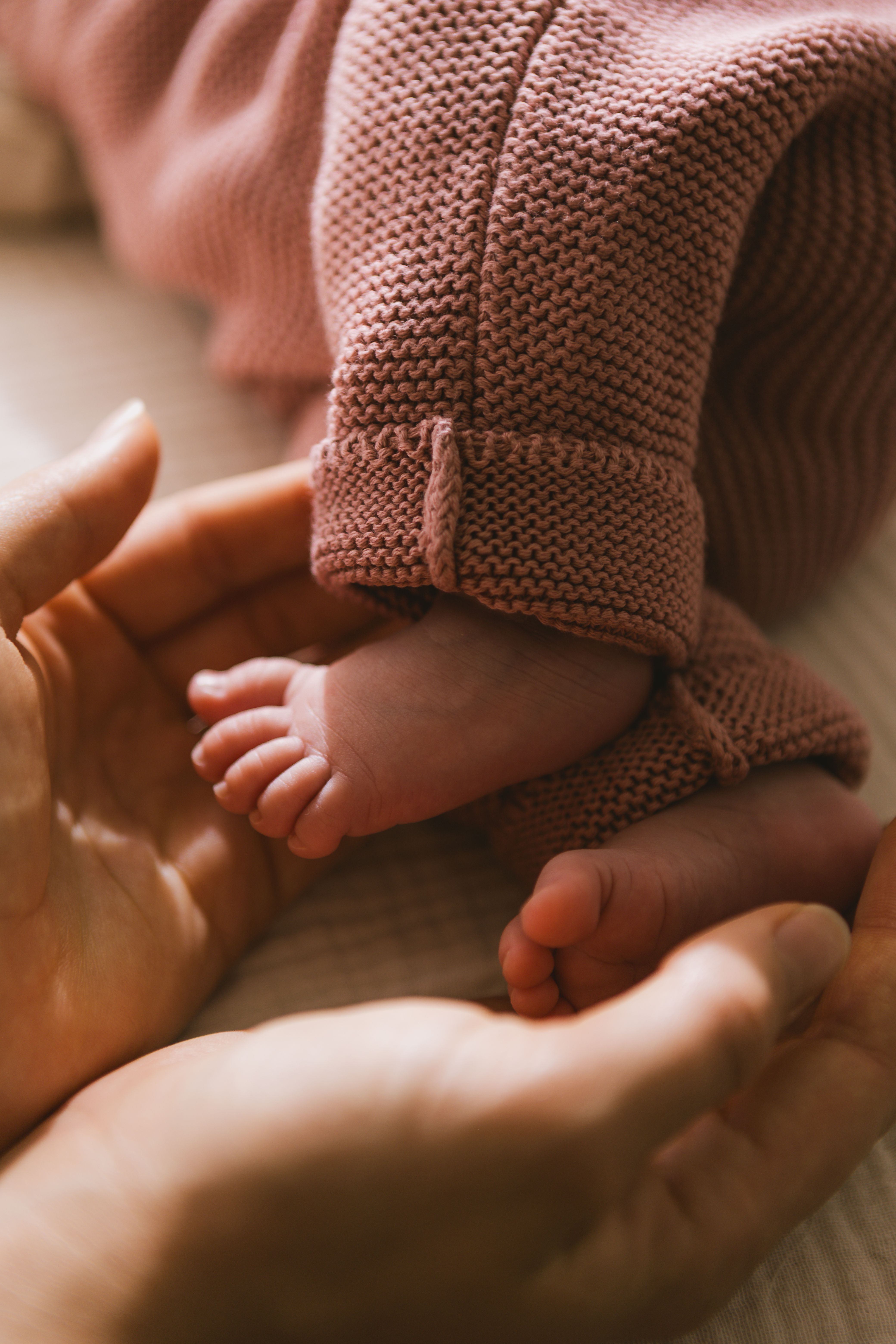 Held in Gentle Hands